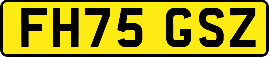 FH75GSZ