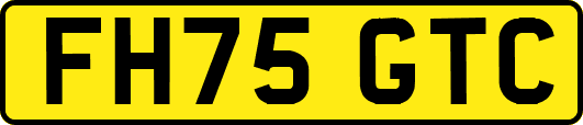 FH75GTC