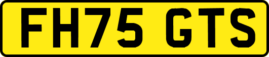 FH75GTS