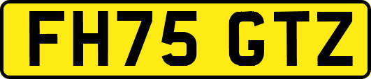 FH75GTZ