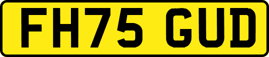 FH75GUD