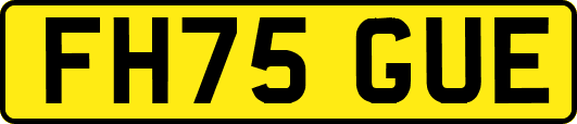 FH75GUE