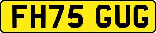 FH75GUG