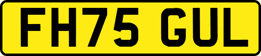 FH75GUL
