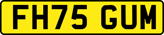 FH75GUM