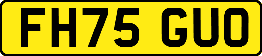 FH75GUO