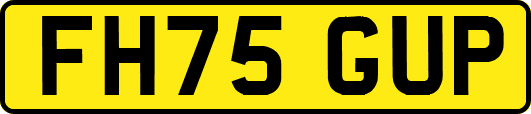 FH75GUP