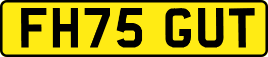 FH75GUT