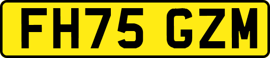FH75GZM