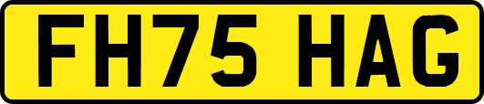 FH75HAG