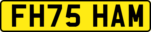 FH75HAM