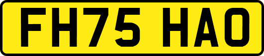 FH75HAO