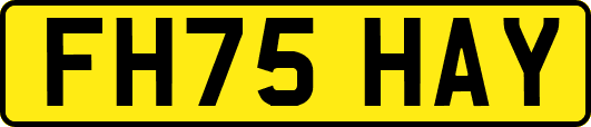 FH75HAY
