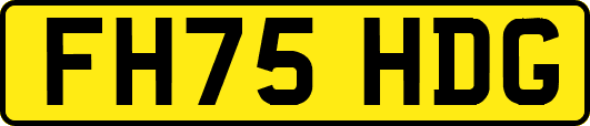 FH75HDG