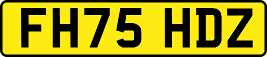 FH75HDZ