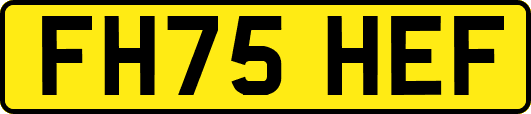 FH75HEF