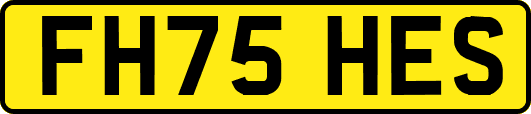FH75HES
