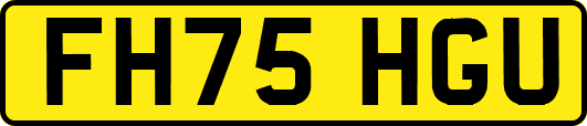 FH75HGU