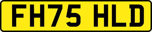 FH75HLD
