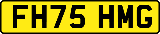 FH75HMG