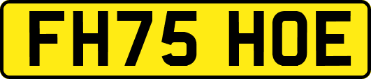 FH75HOE