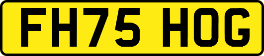 FH75HOG