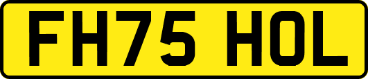 FH75HOL