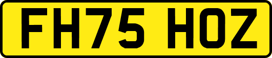 FH75HOZ