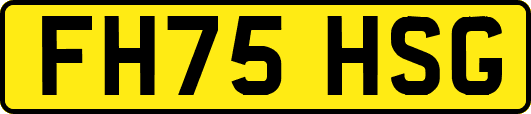 FH75HSG