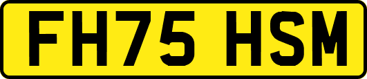 FH75HSM