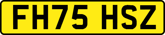 FH75HSZ