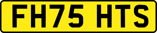 FH75HTS
