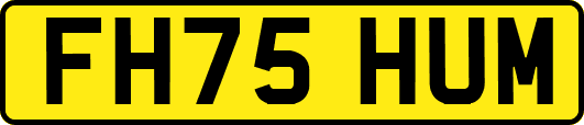 FH75HUM