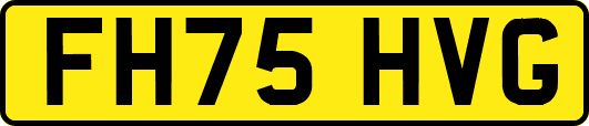FH75HVG