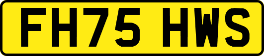 FH75HWS