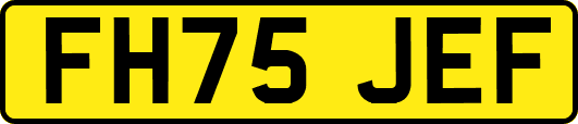 FH75JEF