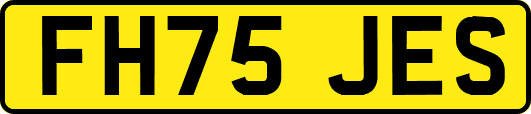 FH75JES