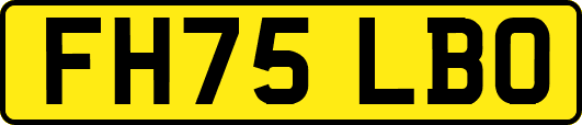FH75LBO