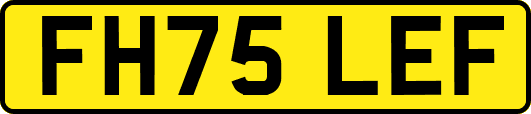FH75LEF