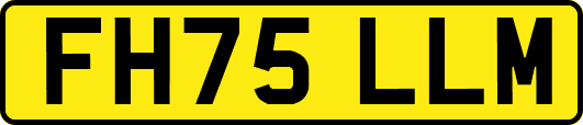 FH75LLM