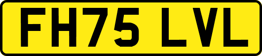 FH75LVL