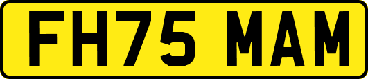 FH75MAM