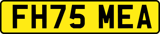 FH75MEA