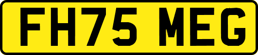 FH75MEG