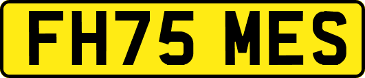 FH75MES