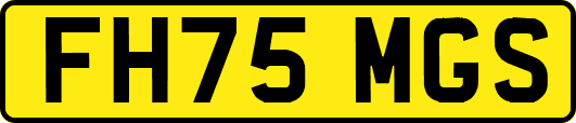 FH75MGS
