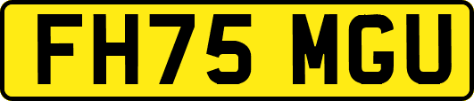 FH75MGU