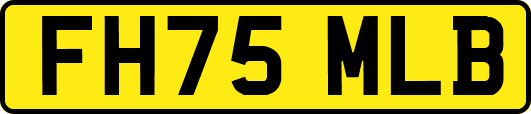FH75MLB