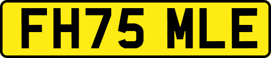 FH75MLE