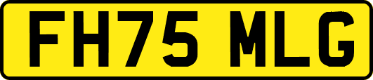 FH75MLG